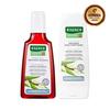 Rausch Shampoo & Conditioner 200ml 4 Types, Choose 1 (Swiss Herbal/Willow Bark/Coltsfoot/Avocado)