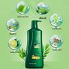 100-Year Runfa Smooth & Dandruff-Free Shampoo