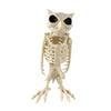 Horror Atmosphere Animal Skeleton Decoration Props Holiday Decoration Ornaments