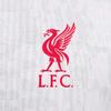 Nike Liverpool Dri FIT ADV Soccer Jersey Men's White/Pure Platinum/Black/Global Red FQ2013-101