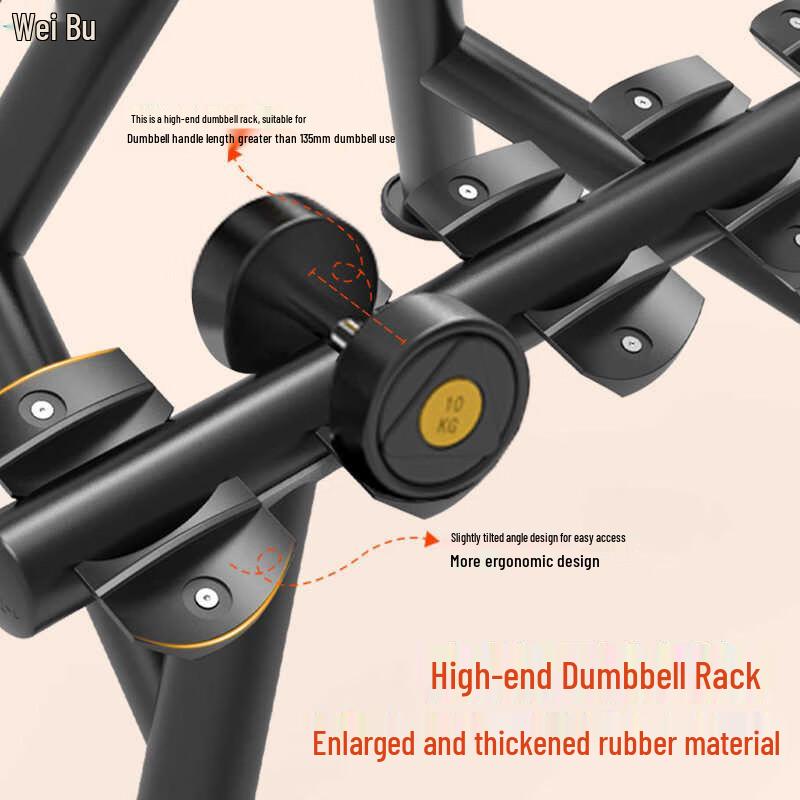 Weibu FW722B Double-Layer Dumbbell Rack