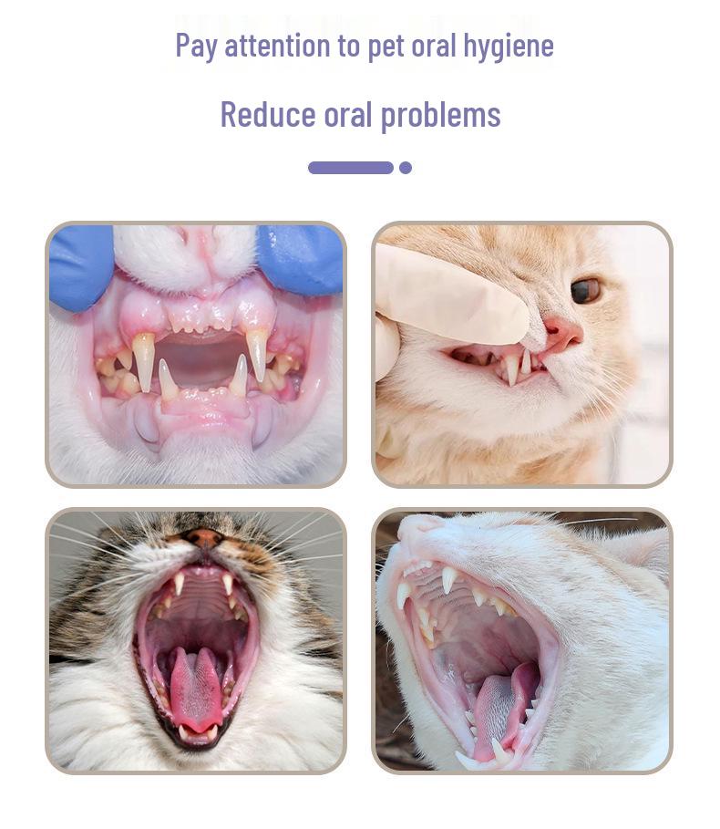 Набор для ухода за полостью рта домашних животных: Набор зубных щеток для кошек с маленькой головкой и пальчиковой щеткой - Щетина высокой плотности