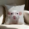Kwaii Anime Cute Mouse Pillow Case Pillowcase, Double-Sided Printed, Sofa Cushion, Bedroom Headboard Pillow