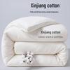 Xinjiang Cotton All-Season Quilt