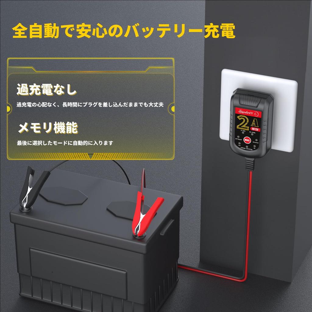LeicesterCNL LST Charger for 6V and , Charger, Bad Identification, 72-Hour