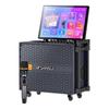 Портативная акустическая система SANSUI Q065 для домашнего KTV и уличного караоке, штепсель CN (адаптер в комплекте)
