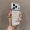 Luxury Seconds Change 17 Leopard Print Phone Case For iPhone 11 12 13 14 15 16 17 Pro Max AIr Shockproof Bumber Cases Cover