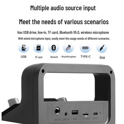 Портативная Bluetooth-колонка для караоке Edifier PP205, штекер CN (адаптер в комплекте)