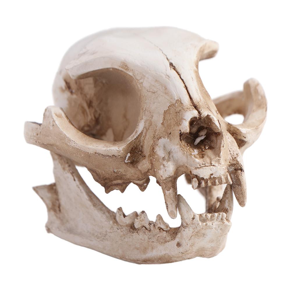 Resin Animal Skull Ornament Funny Cat Skull Statue Halloween Cat Skull Model  Halloween Decor Gifts