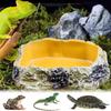 Поилка для рептилий Кормушка Декорация для аквариума Питомцы Амфибии Поилка для питья Черепаха Ящерица Рептилии Аксессуары