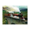 Hogwarts Express Canvas Print
