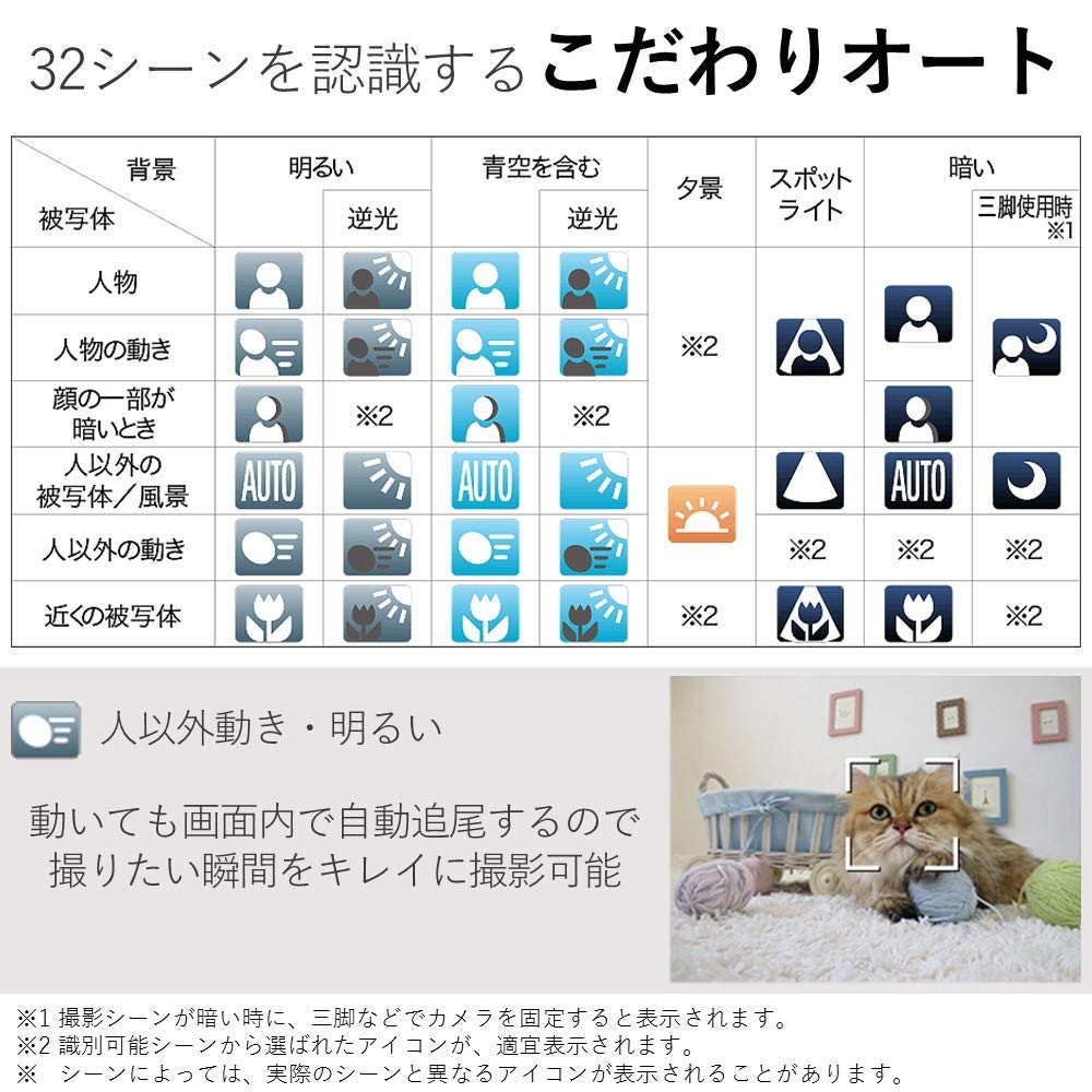 Canon IXY 650 Compact Digital 12x Optical Compatible Camera, Black, Zoom, Wi-Fi (IXY650BK-A)