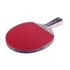 Double Fish 6D Table Tennis Racket Set