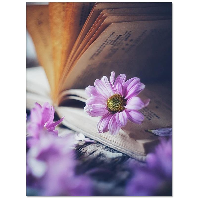 5D DIY Diamond Painting Magic Book Flowers Diamond Embroidery Cross Stitch Kit Full Rhinestone Mosaic Home Decor