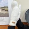 Plush Solid Color Gloves Warm Cycling Driving Gloves Simple Full Finger Mittens  Autumn