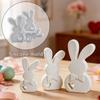 Easter Bunny Plaster Mold 3D Resin Mold Creative Aromatherapy Candle Mold  Home Decor