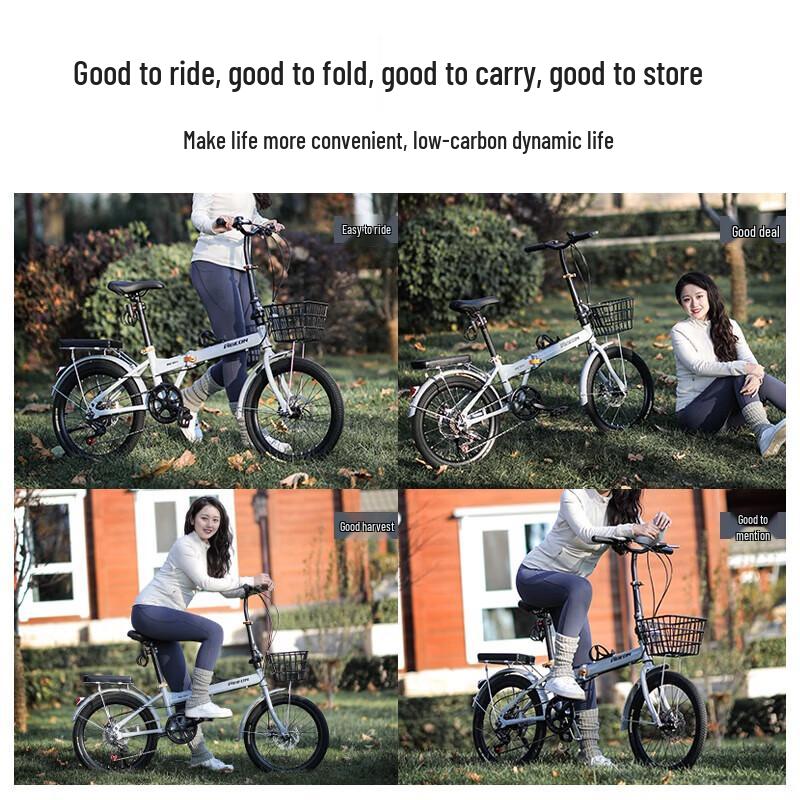 Feige FZ015 7-Speed 22-inch Commuter Bike