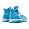 Nike LeBron 14 Ric Flair GS AA3258-404