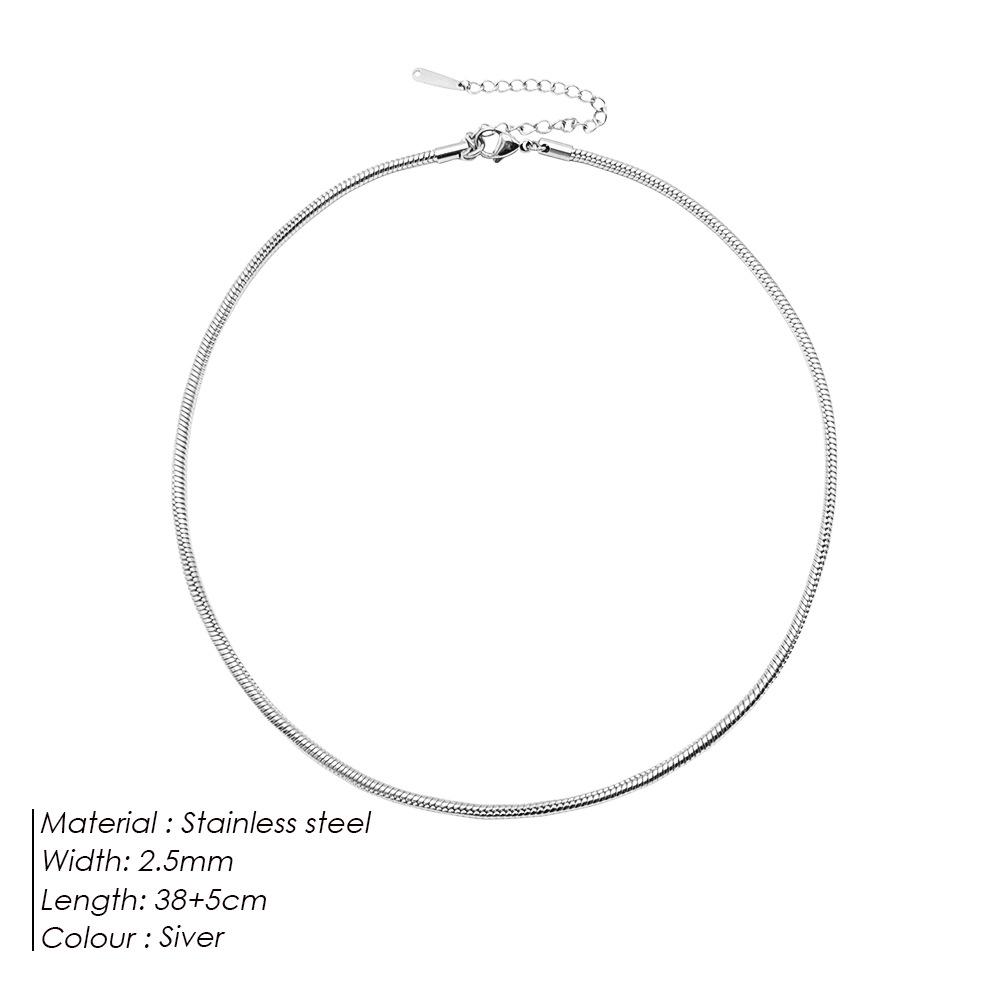 Ожерелье из круглой цепочки из титановой стали eManco — простой европейский/американский стиль для женщин и пар, длинная цепочка в виде змеиной кости, дизайн в виде ключицы.