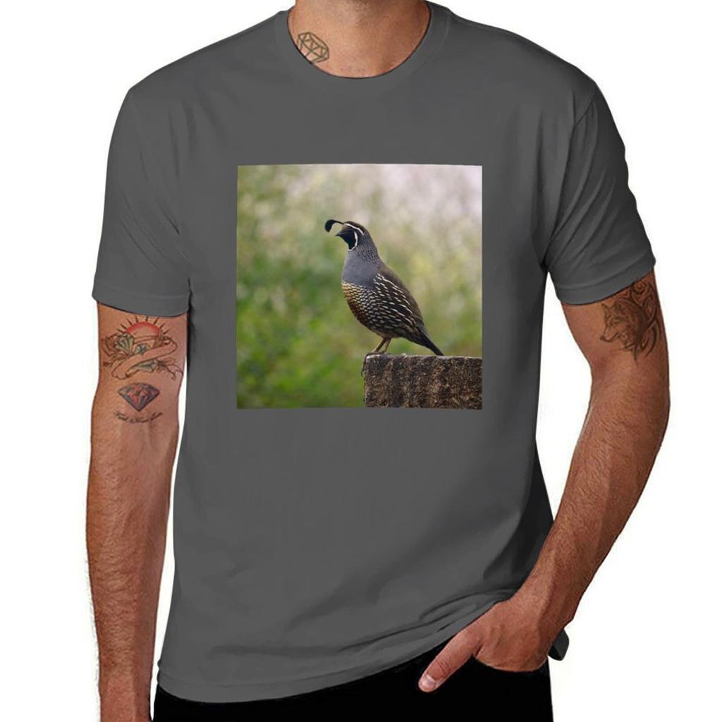 California Valley Quail Tshirt Basic Solid Color Casual Tee Shirt