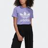 Adidas Originals Set in Sleeve T Shirt Women's Purple GN2905
