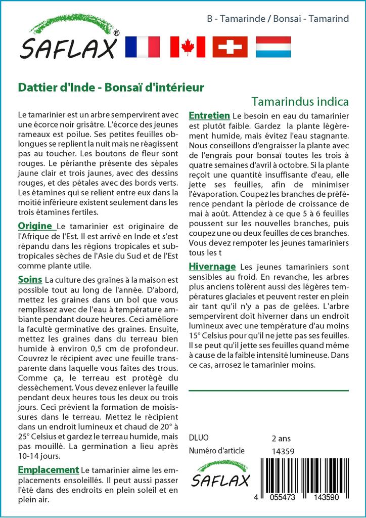 SAFLAX Garden in the Bag - Бонсай - Тамаринд - 4 семени - С субстратом в подходящем пакете-стойке - Tamarindus indica