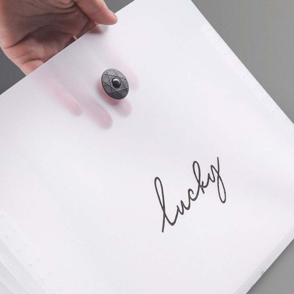 High-capacity A4 File Folder Translucent Document Organizer Simple Expanding Folder  Projects