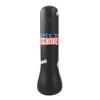 Inflatable Punching Bag for Boxing Practice, Freestanding Bounce Back Bop Bag for Home, Playroom, Lawn and Outdoor Fun