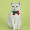 Рождественский кошачий ошейник красно-зеленый клетчатый ошейник с бантом регулируемый ошейник-бант с колокольчиком для кошек рождественский наряд реквизит для фотосессий