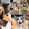 Novelty Feature Interactive Teasing Glove Teasing Design Mini Finger Puppet  For Pet Lovers
