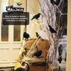 Halloween Black Crow Decoration Realistic Feathered Crow Prop Artificial Fake Raven Birds for Yard Tree Garden Patio Indoor Outdoor Halloween