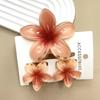 3Pcs/Set Plumeria Flower Hair Claws Gradient Ponytail Clip Colorful Hair Accessories  Summer