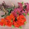 Simulated succulent rice fruit, soft rubber Fengxin fruit, plastic cauliflower home decoration