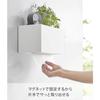 Yamazaki Tower Magnetic Paper Towel Dispenser with Tray, White, Approx. W26 x D13.7 x H13.6cm (Approx. H26.3cm with lid open), Tower Paper Towel Case/