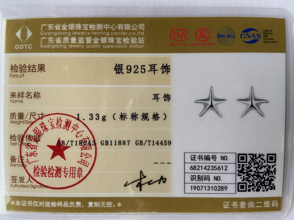 URMYLADY 925 Sterling Silver Star Stud Earrings For Women Wedding Party Charm Jewelry