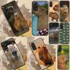 Capybara Animal Case For Xiaomi Redmi 10 10A 10C 9 9A 9C 9T Note 11 Pro 10 Pro 9 Pro 8 Pro 10S 11S Cover