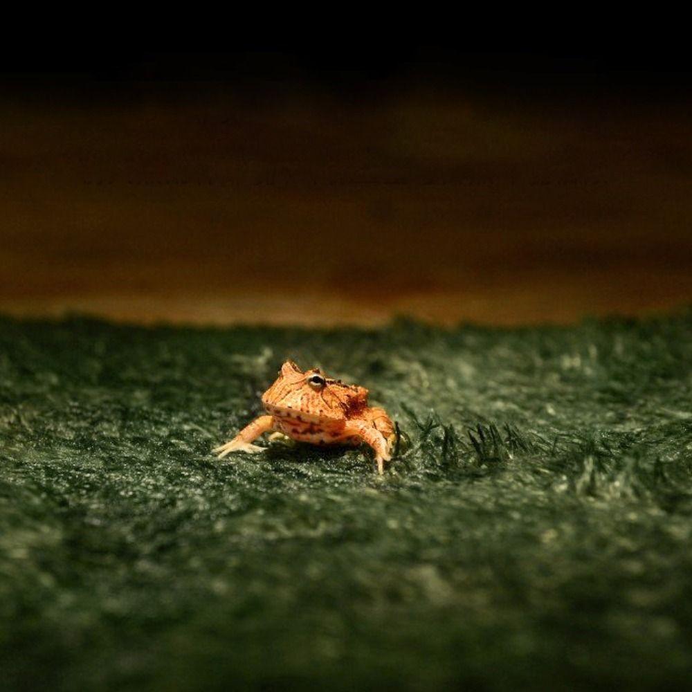 Moisturizing Reptile Carpet Simulation Green Artificial Grass Mat Foldable Rectangle/Square Micro Landscape For Snake Lizard