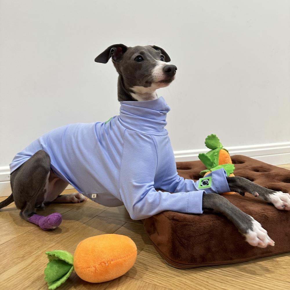 Мягкая голубая хлопковая футболка для Huibit, одежда для собак, эластичное весенне-осеннее пальто для Bedlington Little Greyhound, пижама с высоким воротом