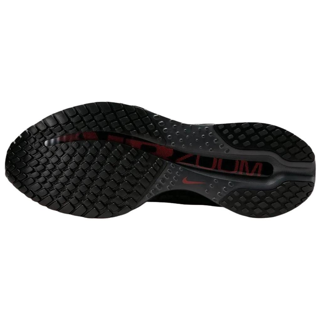 Nike Pegasus Premium 'Anthracite Black' Men's HQ2592-011