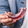 Творческий бычий рог, коктейльная чашка, рюмка, испанский фирменный ресторан, бар, напиток, бокал для вина, спиртные напитки, водка, виски, стакан