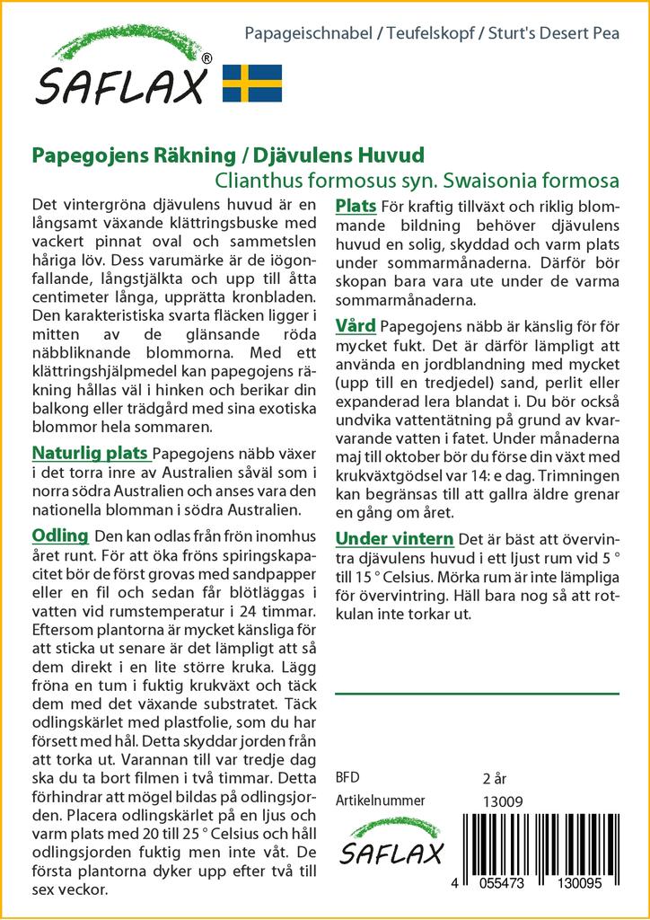 SAFLAX Горох пустынный Sturt's - 20 семян - Clianthus formosus