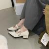 Pointed Mary Jane Single Shoes Women's 2025 Spring and Summer New Fashionable Retro Light Mouth Thick Heel Small Leather Shoes