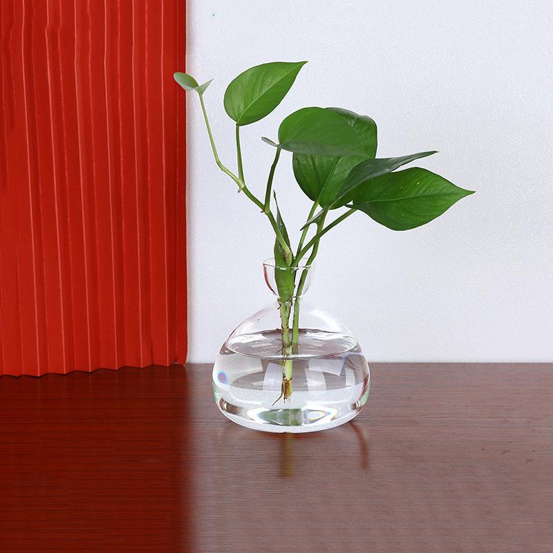 Avocado Seed Starter Transparent Glass Vase For Growing Plant Gardening Lover DIY Kit Home Decoration Gift Idea