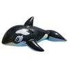 Inflatable Whale & Dolphin Surf Ride for Kids & Adults