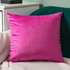 Solid Color Velvet Pillow Sofa Cushion Cover Office Bedside Plush Cushion Cover Dutch Velvet Pillow Cover