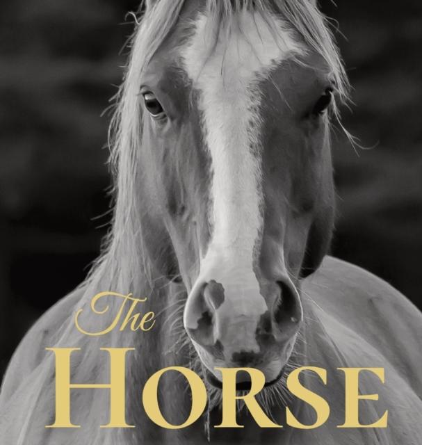The The Horse : Coffee Table Book With Quotations About The Magnificent Equines. Book