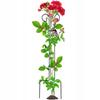 Support Clamp Stand for Climbing Roses Steel