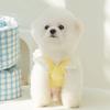 Милая одежда для собак маленькая собака плюшевый мишка принцесса платье с ветряным пирогом летний жилет одежда для питомца