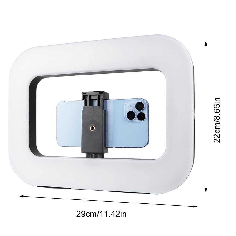 Smartphone Video Rig Handheld Ring Light Selfie Light Phone Video Stabilizer for Camera Smartphone Action Camera YouTube Set