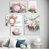 Protea King Flower Plant Picture Botanical Art Poster Nordic Floral Wall Art Canvas Print Painting Modern Living Room Decoration No Frame